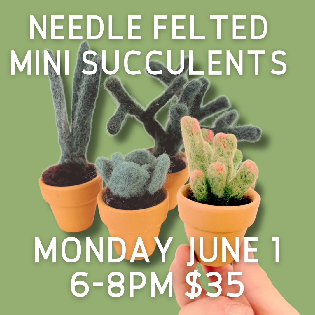 Needle Felted Mini Succulents 